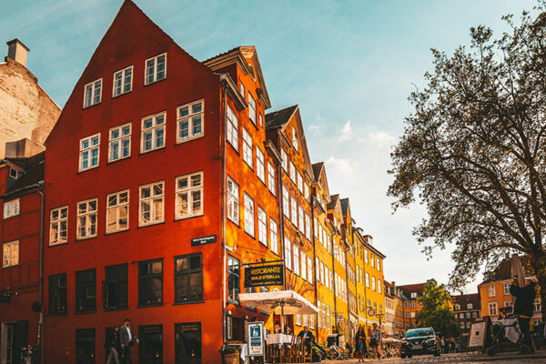 adrian-cuj-69FRyWD5Rt0-unsplash adrian-cuj-69FRyWD5Rt0-unsplash