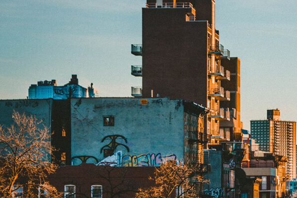 andre-benz-ITzzbdwnCvY-unsplash andre-benz-ITzzbdwnCvY-unsplash