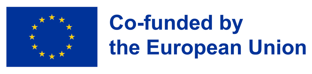 Co-funded by the European Union