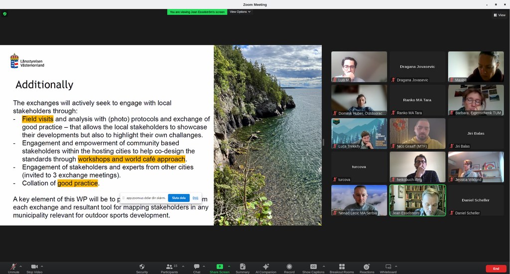 Online meeting of the STANDOUT project partners